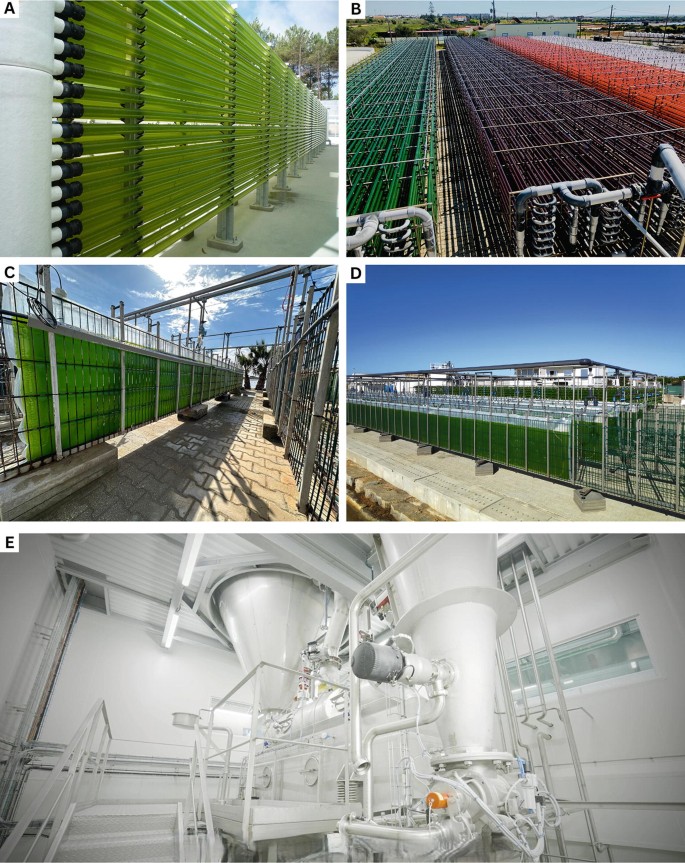 Microalgal Cultivation in Temperate Regions: State of the Art ...