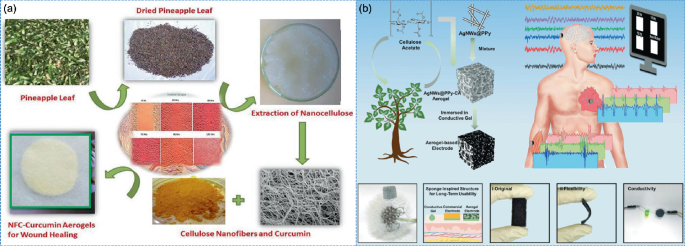 Cellulose-Based Aerogels for Drug Delivery | SpringerLink