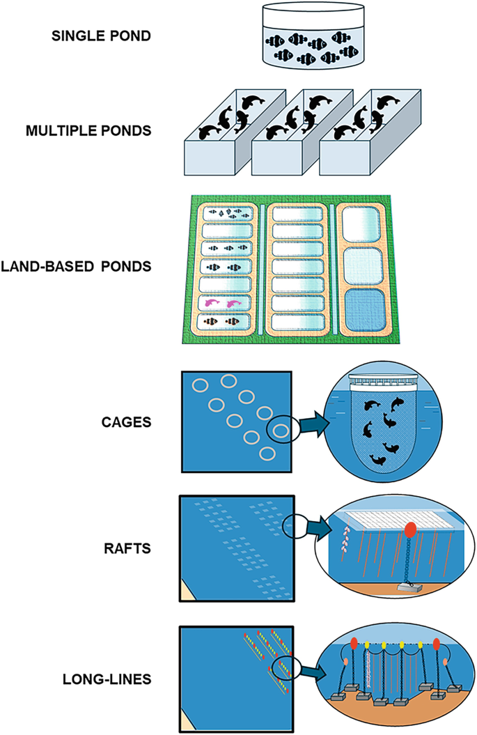 Smart Sensors for Water Quality Monitoring in Aquaculture Systems ...