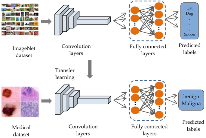 Artificial Neural Nets and the Representation of Human Concepts ...