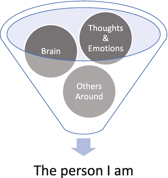 Forensic Risk Assessment and Case Formulation | Springer Nature Link