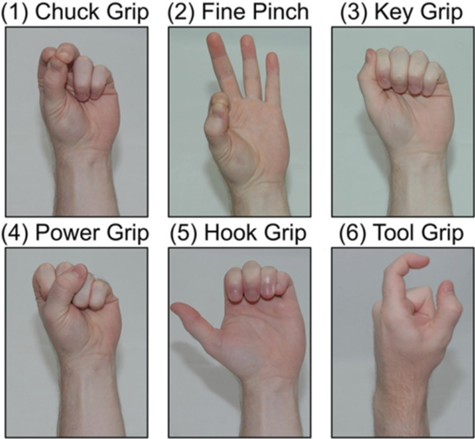 Hand and Wrist Biomechanics Basics | SpringerLink