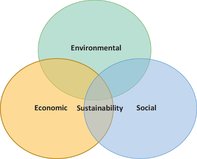 Foundations of Sustainability | Springer Nature Link (formerly ...