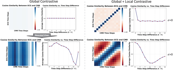 Global and Local Contrastive Learning for Joint Representations from ...