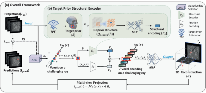 Target Prior-Enriched Implicit 3D CT Reconstruction with Adaptive Ray ...