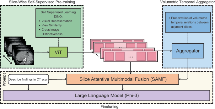 From Slices to Volumes: Multi-scale Fusion of 2D and 3D Features for CT ...