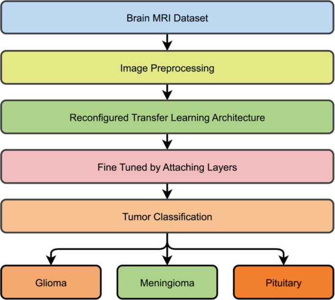 Early Detection of Alzheimer’s Disease and Brain Tumor Using ...