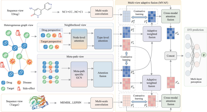 Multiview Feature Fusion and Contrastive Learning for Drug-Target ...