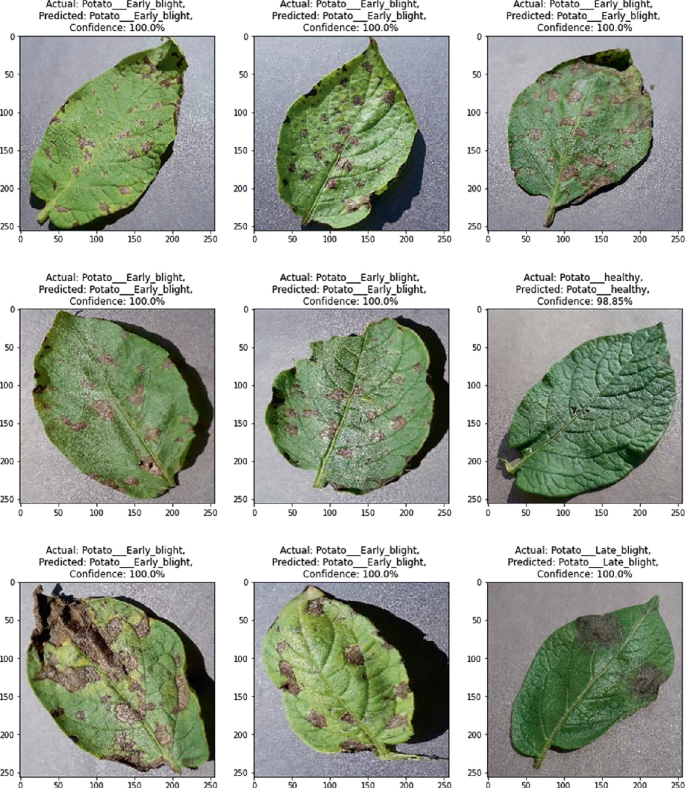 Potato Leaf Diseases Detection Model for Precision Agriculture Using an ...