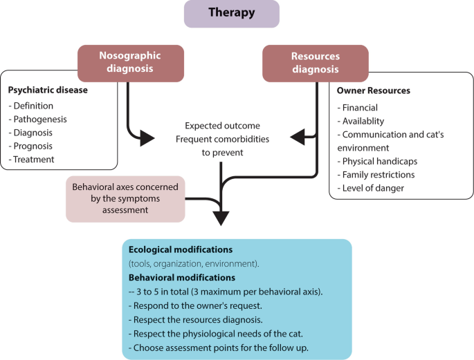 The Architecture of Our Veterinary Psychiatry Model | Springer Nature ...