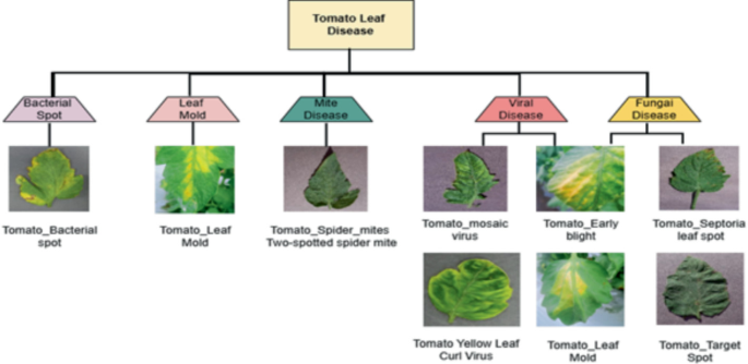 Tomato Leaf Disease Detection Using Fusion of Thepade’s SBTC and ...