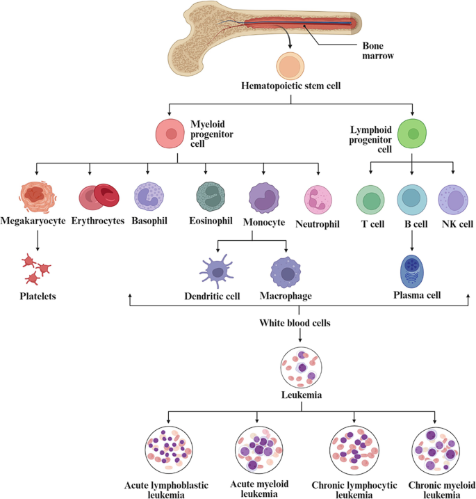 Role of SLC Transporters and Noncoding RNA in Regulating the Genetic ...