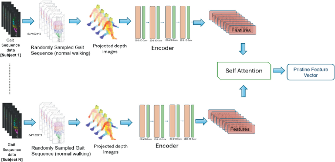 Gait Recognition via Pristine Feature Learning | Springer Nature Link