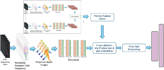 Gait Recognition via Pristine Feature Learning | Springer Nature Link