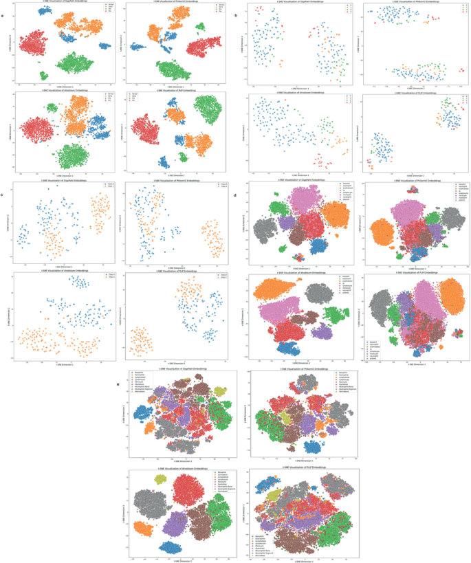 Multiple Color Legend Visualization Beyond Broad Applications: Can Pathology Foundation Models Adapt to ...