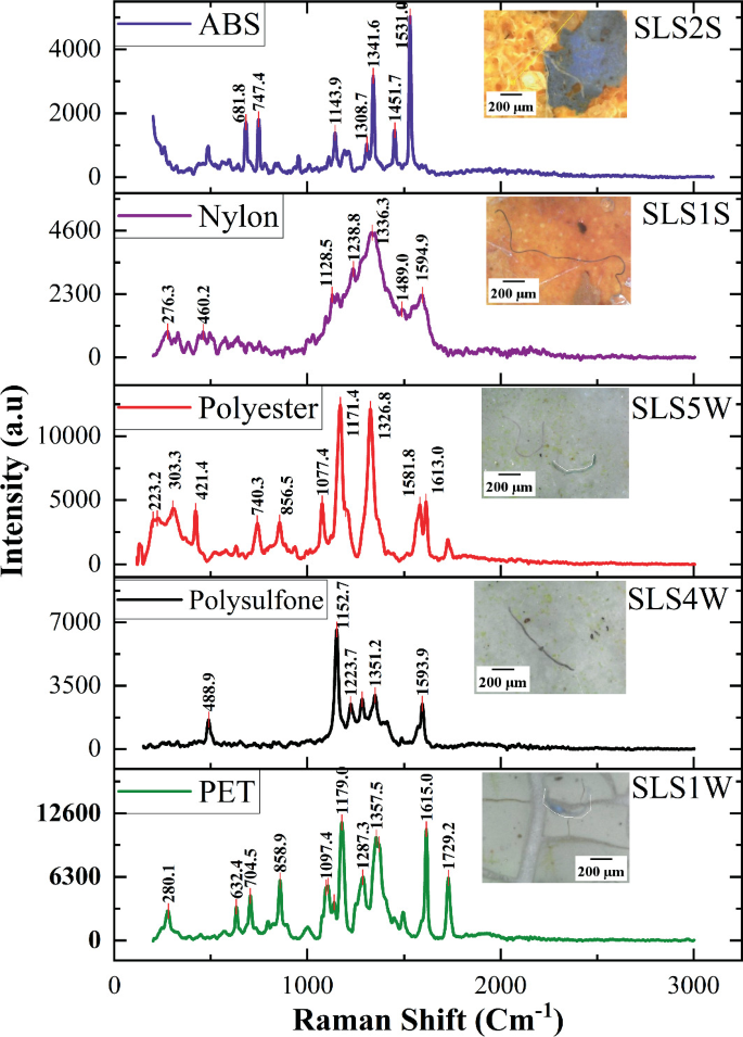 Distribution of Microplastics in Semi-urban Estuary Water Along the ...