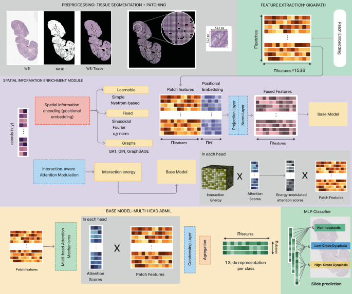 Process Map Histology Example Does Spatial Information Improve MIL-Based Histological Image ...
