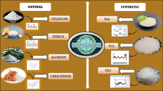 Biopolymers as Nanocarrier Agents of Marine Bioactive Compounds in Food ...