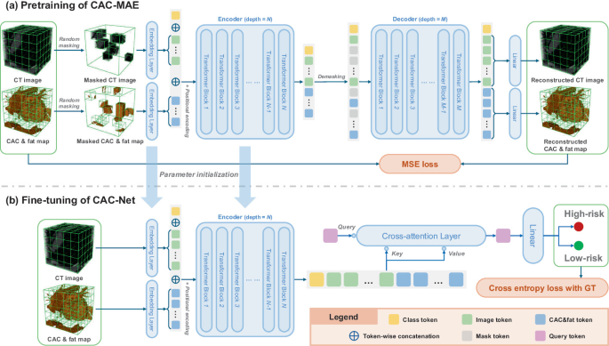 CAC-MAE: A Calcification-Aware Masked Autoencoder for Cardiovascular ...