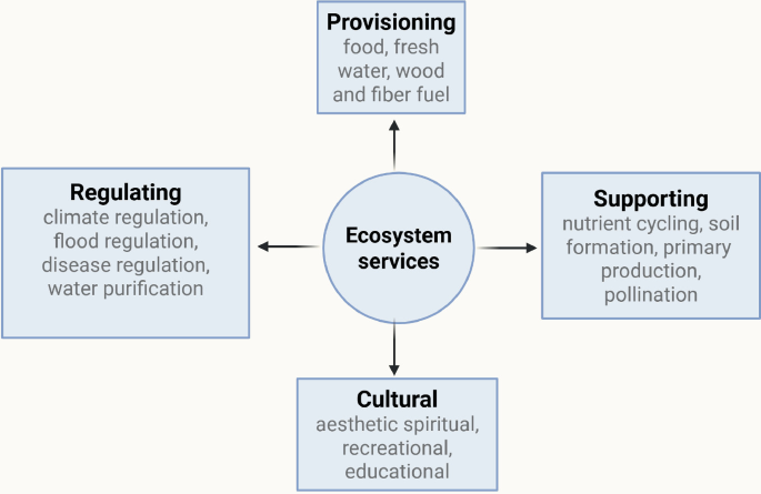 Impact of Emerging Contaminants to the Environment and Human Health ...