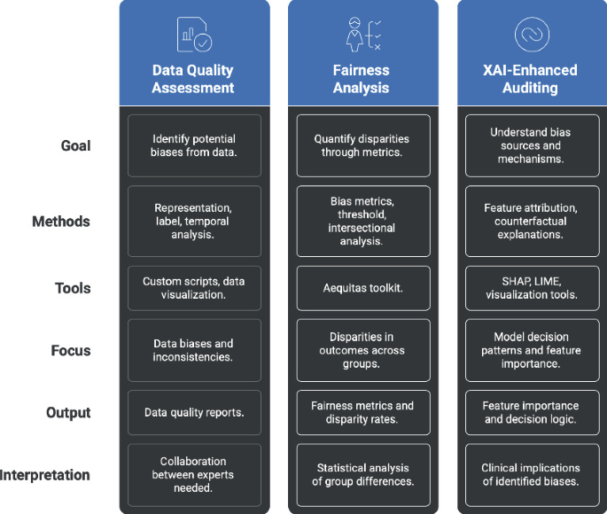 A Practical Framework for Auditing Fairness in Medical AI | Springer ...