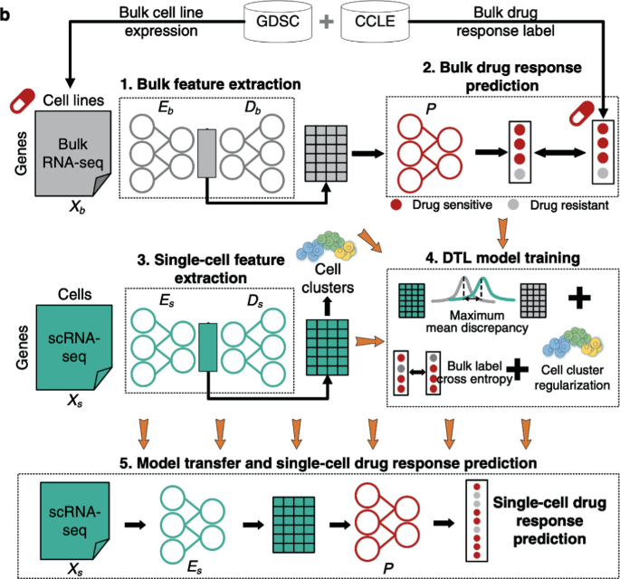 Cell Feature Extraction Image Optimization of Denoising Autoencoders with Progressive Learning ...