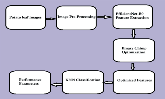 Enhanced Potato Leaf Disease Classification Using Optimized Deep ...