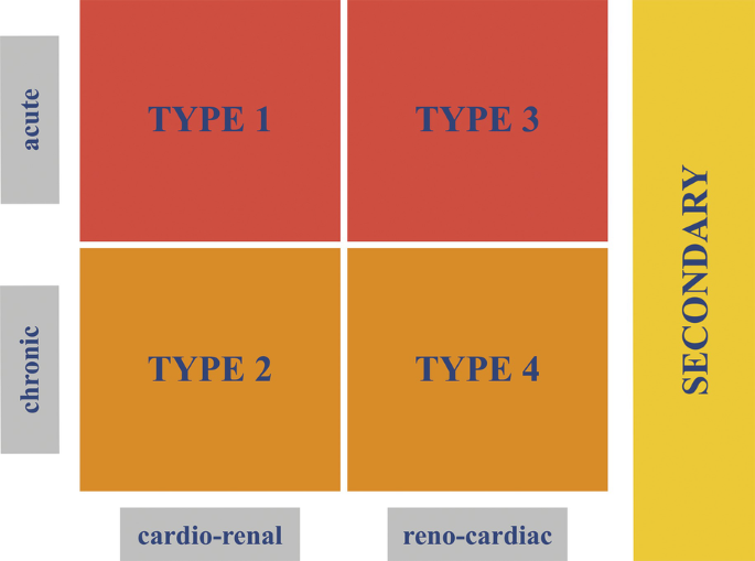 The Evolution of Cardiovascular-Kidney-Metabolic Syndrome | Springer ...