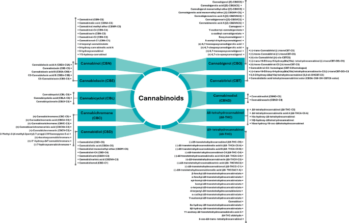 Chemical Composition, Classification, and Metabolism of Cannabinoids ...
