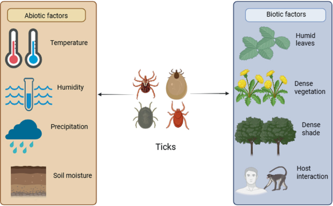 Emerging Zoonotic Threats: Climate, Ticks, and Disease Transmission ...