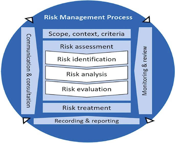 System Characterization Process Risk Management Process Flow Chart Risk Analysis and Management Towards an ESG Perspective | Springer ...