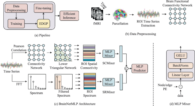 BrainNetMLP: An Efficient and Effective Baseline for Functional Brain ...