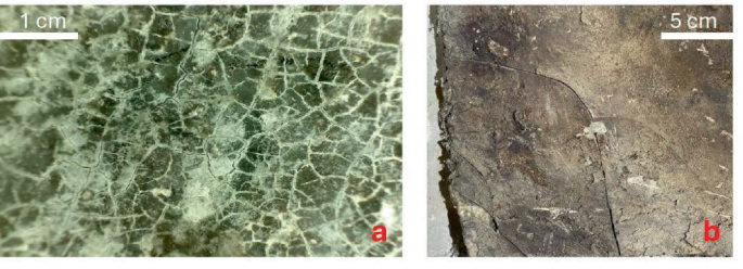Polymers Rusting Durability and Degradation of Synthetic Polymers on Architectural ...