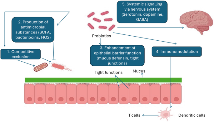 is melanotan safe to use Don't risk using tanning products containing melanotan is melanotan safe to use Don't risk using tanning products containing melanotan