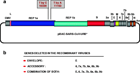 figure 2_4