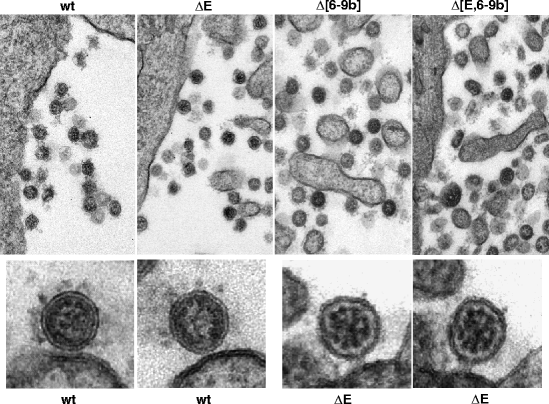 figure 3_4