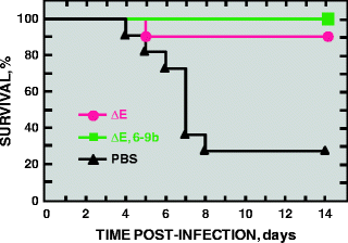 figure 4_4