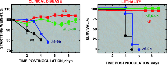 figure 5_4