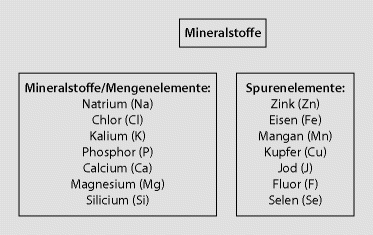 Mineralstoffe – Funktionen und Vorkommen