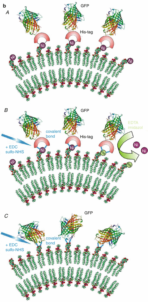 figure 00102