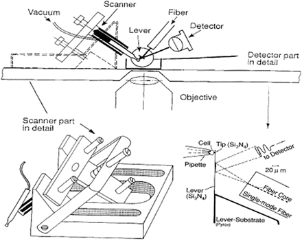 figure 16