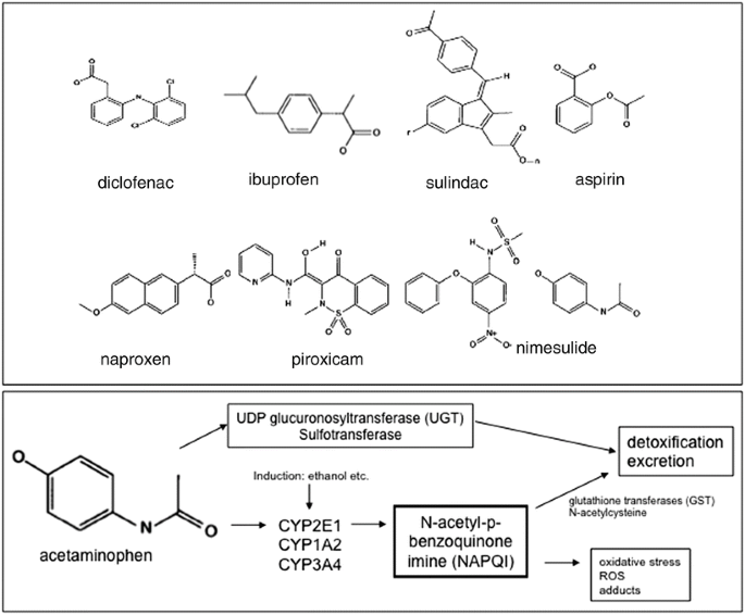 glutathione hepatotoxicity A Literature Review of Glutathione Therapy in Ameliorating Hepatic  Dysfunction in Non-Alcoholic Fatty Liver Disease main image 1
