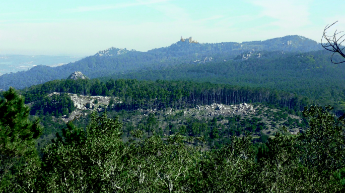 Landforms and Geology of the Serra de Sintra and Its Surroundings |  SpringerLink