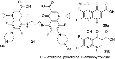 scheme 13