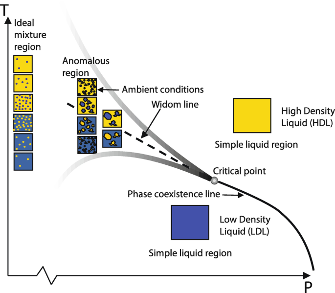 Selective Interstitial Hydration Explains Anomalous Structural