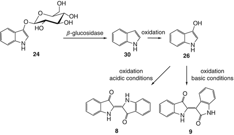 scheme 5