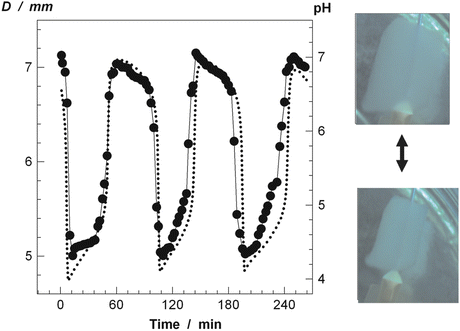 figure 22