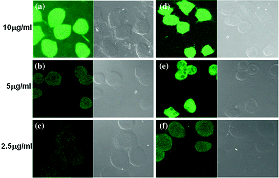 figure 56