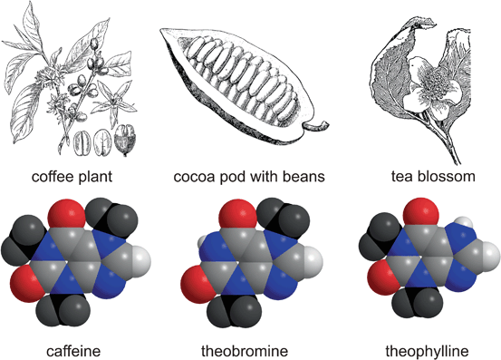 https://media.springernature.com/lw685/springer-static/image/chp%3A10.1007%2F978-3-319-08419-0_2/MediaObjects/313561_1_En_2_Fig36_HTML.gif