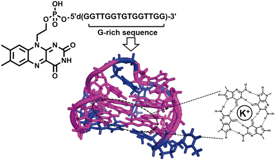 figure 15